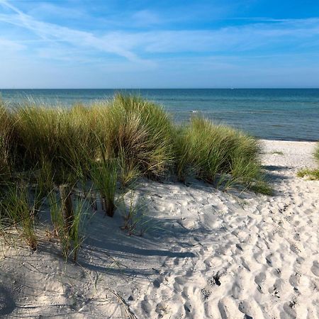Daenische Ferienhaeuser Am Salzhaff Haus Kaept'N Nemo Insel Poel Exterior photo