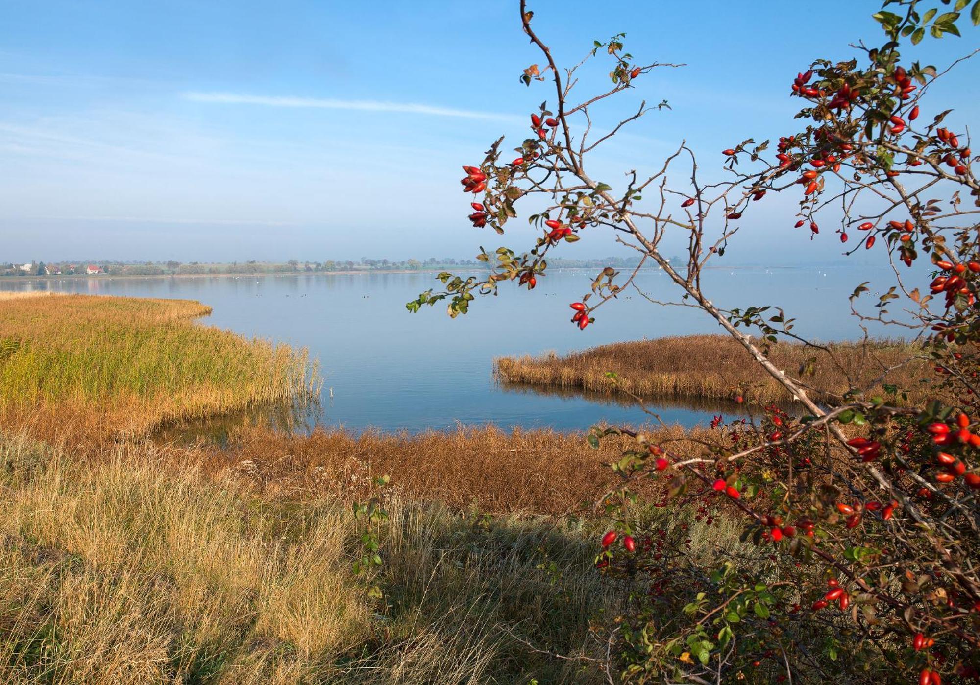 Daenische Ferienhaeuser Am Salzhaff Haus Kaept'N Nemo Insel Poel Exterior photo