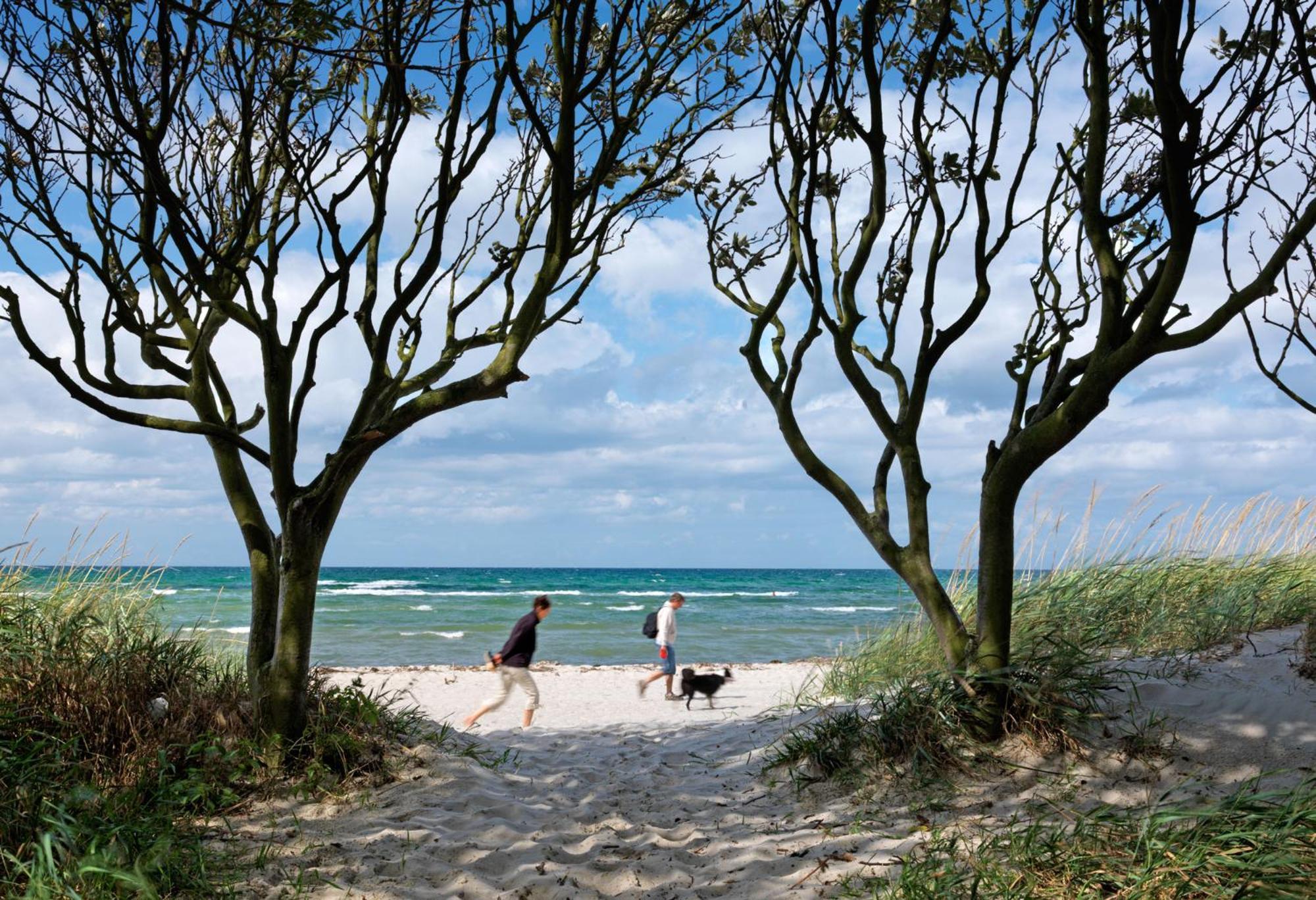 Daenische Ferienhaeuser Am Salzhaff Haus Kaept'N Nemo Insel Poel Exterior photo